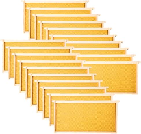 MayBee 20 Pack Honey Bee Frames with 100% Beeswax Coated Food Grade Foundation Sheets, Complete Unassembled Deep Beehive Frames and Foundations in Kuwait