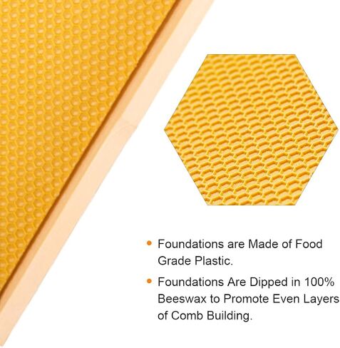 MayBee 20 Pack Honey Bee Frames with 100% Beeswax Coated Food Grade Foundation Sheets, Complete Unassembled Deep Beehive Frames and Foundations in Kuwait