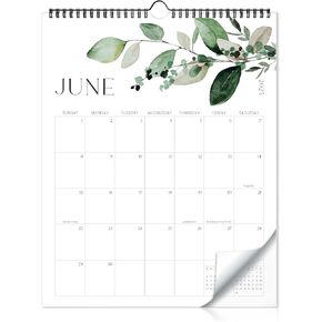 Aesthetic 2025-2026 Wall Calendar - Runs from June 2025 Until December 2026 - The Perfect Large Modern Greenery Calendar Planner for Easy Organizing