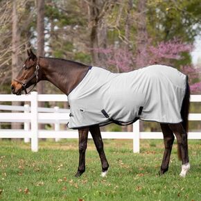 Miller's Fly Sheet for Horses-Bright White with Navy Blue Trim-72