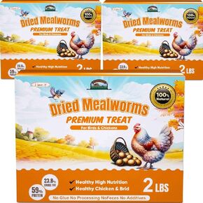 Dried Mealworms 10LB - Non-GMO Meal Worms for Chickens & Birds - Insect Protein Poultry Feed, Natural Chicken Worms ideal for Wild Birds, Reptile Tasty Bird Treats, Laying Hens,Bird Seed Alternative