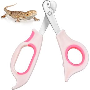 1 PCS PET NAIN CLIPPERS للقطط الملتحي تنين الأظافر تقليم مع الحواف الزاوية الدقيقة من الفولاذ المقصوم