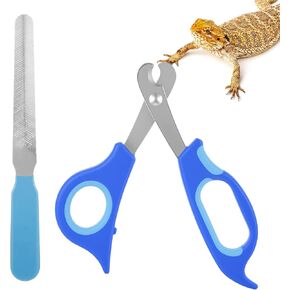 ملحقات Dragon Dragon Nail Clippers ، ملحقات التنين الملتحي من الفولاذ المقاوم للصدأ ، وأدوات الحيوانات الأليفة الاحترافية ، بما في ذلك ملف الأظافر والمقص للزواحف الصغيرة ، الحرباء ، القطط ، الكلاب ، الإغوانا