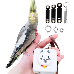 Bird Leash Bird Traction Rope Parrot Flying Rope Flying Training Rope Adjustable Small Animal Walking Harness 20FT/236IN with 6 Different Sizes of Soft Foot Ring (20FT, White cat)