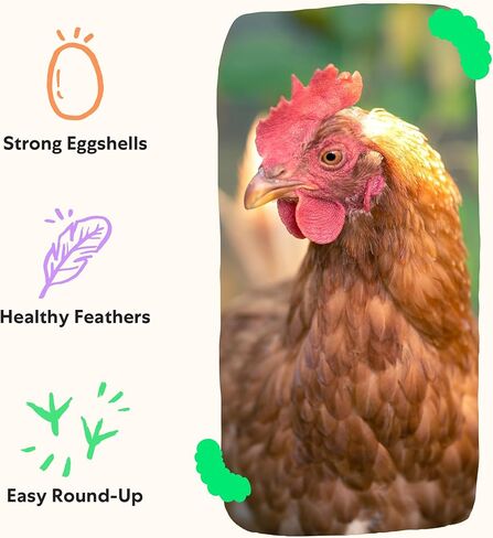 Grubblies - جندي سوداء يرقات ذبابة للدجاج - يعلن الدجاج في الولايات المتحدة وكندا - من أجل قشر البيض القوي والريش الأصحاء - حصاد مسقط رأسه 1 رطل in Kuwait