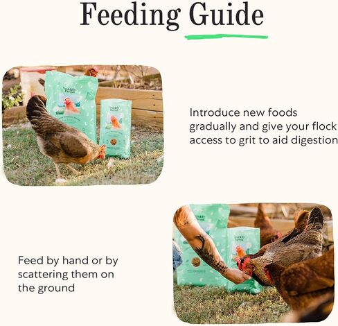 Grubblies - جندي سوداء يرقات ذبابة للدجاج - يعلن الدجاج في الولايات المتحدة وكندا - من أجل قشر البيض القوي والريش الأصحاء - حصاد مسقط رأسه 1 رطل in Kuwait