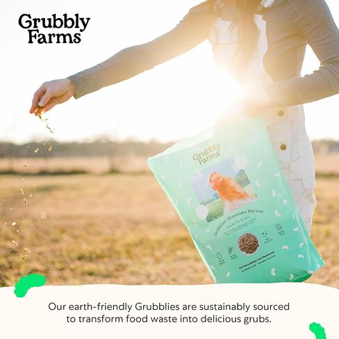 Grubblies - جندي سوداء يرقات ذبابة للدجاج - يعلن الدجاج في الولايات المتحدة وكندا - من أجل قشر البيض القوي والريش الأصحاء - حصاد مسقط رأسه 1 رطل in Kuwait