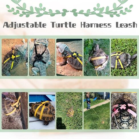 Adjustable Harness & Leash Set Strap for Turtles Small Pet Leash Walking Rope for Tortoise Outdoor Walking Training Control Rope (Blue,L) in Saudi Arabia