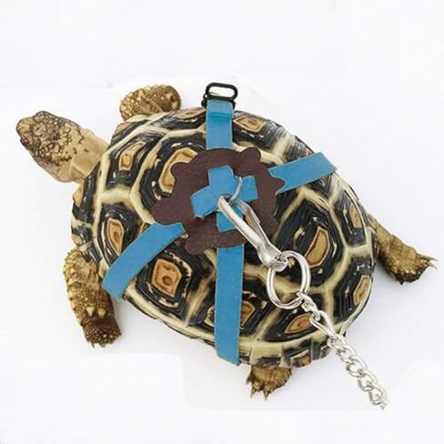Adjustable Harness & Leash Set Strap for Turtles Small Pet Leash Walking Rope for Tortoise Outdoor Walking Training Control Rope (Blue,L) in Saudi Arabia
