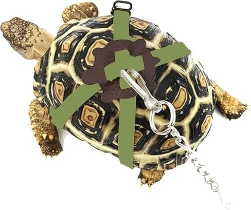 Adjustable Harness & Leash Set Strap for Turtles Small Pet Leash Walking Rope for Tortoise Outdoor Walking Training Control Rope (Blue,L) in Saudi Arabia