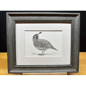 Quail Bird Graphite Pencil Art Sketch Drawing Print Picture Limited Edition Titled 'Quail' by David Allen (8x10 Mat & Print Only)