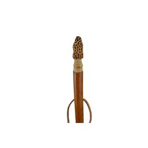 Walking Stick with Morel Mushroom Carving in Elm - 60" tall - Hiking Stick Carving by Creation Carvings