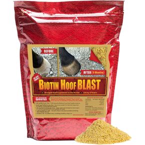 Horse Guard Hoof Supplements for Horses - 80 Servings - Biotin Hoof Blast 10lb Bag with 100mg Biotin per Serving - Concentrated Equine Hoof Health, Strengthener with MSM, Methionine, Zinc