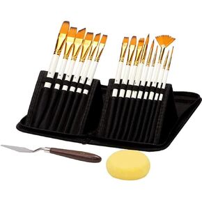 HBJWOV 15PCS Painting Brushes Set Drawing Pigments Art Supplies Tool Artist Paint Brushes Palette Sponge Set with Storage Case