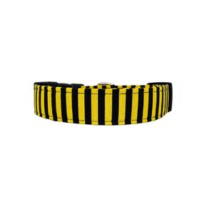 Black and Yellow Stripe Dog Collar (X-Large)