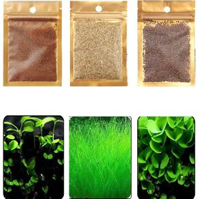3 Pack Aquarium Plant S.e.e.ds, no Artificial Plastic Plant, Fish Tank Live Grass for All substrates (0.36 oz Large Pairs of Leaves + 0.36 oz Calf Hair + 0.36 oz Mini Leaf) LZBSNI081z