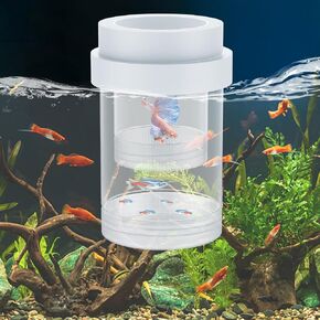 Pawfly Breeder Box for Fish Tank, Aquarium Fish Breeding Box, Floating Guppy Breeder Box, Baby Fish Separator for Aquarium, Plastic Hatchery Incubator Isolation Box for Shrimp Betta Clownfish, Medium in Kuwait