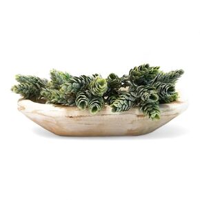 9"-10" Rustic White Mini Dough Bowl Small Wood Decorative Bowl - The Itty Bitty Bowl Rustic White