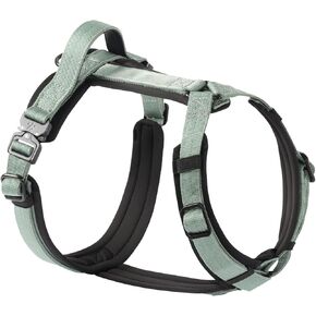 PawsPassion Dog Harness for Medium Dogs, No Pull Dog Harness Easy Walk with Metal Hardware, Ergonomic Y-Shaped Design, Soft Padding, Padded Handle, Durable High-Tensile Nylon (Evergreen, M)