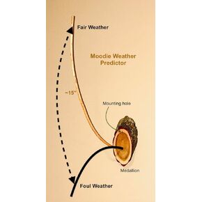Moodie Weather Stick