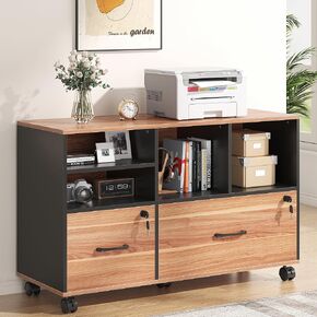 2 Drawer Wood Mobile Large Lateral File Cabinet with Lock, Lockable Rolling Filing Cabinet with Storage Shelves, Printer Stand Office Storage for Home Office Fits Files Legal/A4,Black