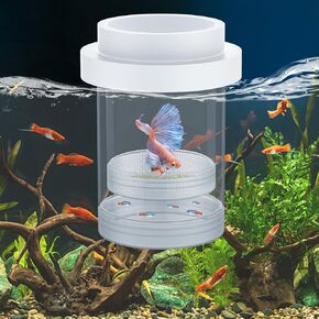 Pawfly Breeder Box for Fish Tank, Aquarium Fish Breeding Box, Floating Guppy Breeder Box, Baby Fish Separator for Aquarium, Plastic Hatchery Incubator Isolation Box for Shrimp Betta Clownfish, Medium