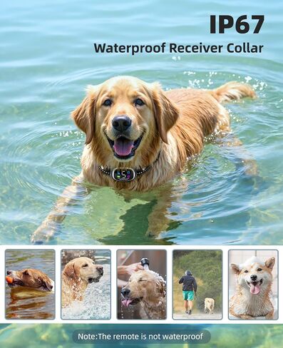 2-in-1 Dog Shock Collar and Bark Collar for Dogs – 3300FT Dog Training Collar with Remote, IP67 Waterproof e Collar with Anti-Bark/Beep/Vibration/Shock Modes for Small Medium Large Dog(5-120Lbs) in Saudi Arabia