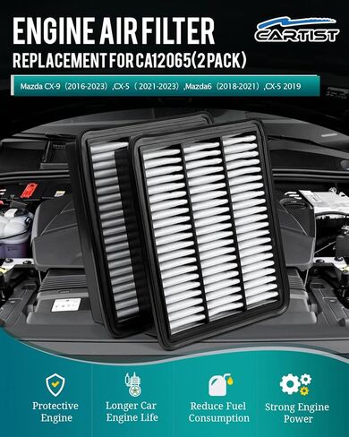 Cartist CF10285 HEPA Cabin Air Filter Fits for Toyota Camry/Corolla/4Runner Sienna Tundra RAV4 Lexus RX350 Cabin Filter Replacement w/Activated Carbon for Car Passenger Compartment (2 Pack) in Saudi Arabia