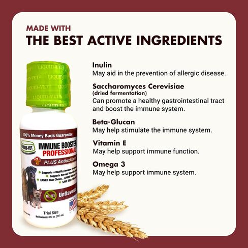 Immune Support for Dogs – Antioxidant Protection & Gut Health – Inulin, Beta-Glucan & Omega-3s / Fish Oil & More! - Made for Picky Eaters in Kuwait