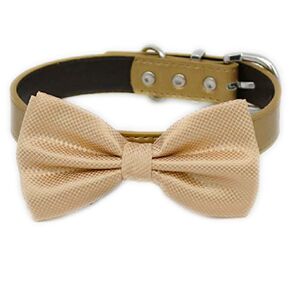 Champagne bow tie collar XS to XXL collar and bow tie, adjustable, Puppy bow tie, handmade, dog ring bearer, Champagne dog collar