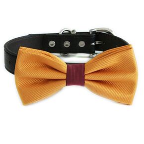 Burnt orange burgundy bow tie collar, handmade Puppy bow tie, XS to XXL collar and bow adjustable wedding dog collar ring bearer