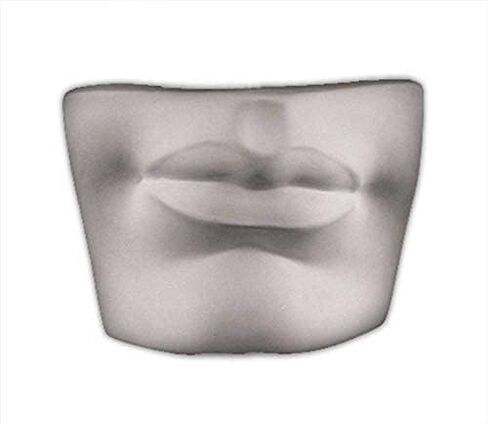 Caproni Collection Plaster Cast Sculpture of David's Mouth Size Size Size (Item #148) in Kuwait