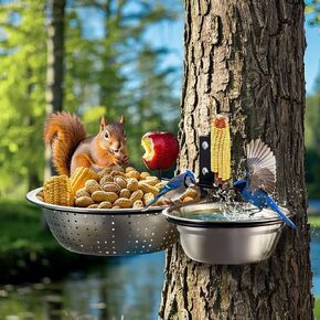 2-Hoop Squirrel/Bird Feeder, 2025 Cute Metal Bowl Outside Tree Mounted, 8.5" Drainage Bowl+2 Corn Cob Spikes for Dry Food, 5.5" Solid Bowl for Wet Food/Water, Perfect Squirrel Feeders for Yard