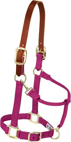 Weaver Leather Nylon Adjustable Breakaway Horse Halter, Small, Red in Saudi Arabia