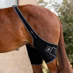 Professional's Choice Theramic Stifle Wrap | Improve Blood Circulation, Reduce Inflammation and Ease Pain | Reflecting The Natural Body Heat