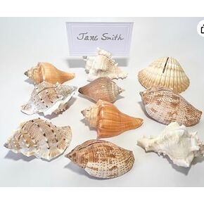 Seashell Card Holders - Set of 25 + White Cards - FREE SHIPPING - Coastal or Beach Wedding Shell Place Card Holders Real Shells