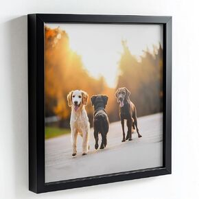 9x10 إطارات الصور السوداء - جاهزة لتعليق إطار ملصق خشب الصنوبر الصلبة - إطار الصورة المصقولة الزجاج الأمامي ، صورة شاشة زجاجية صافية - صورة معلقة - ديكور الجدار المنزلي - 9 × 10