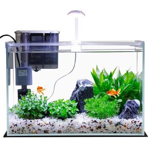 3 Gallon Glass Small Fish Tank, Betta Fish Tank Starter Kit with Filter, Lights,Lid, Aquarium Brush, and Water Changer.