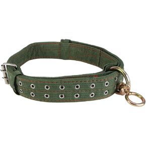 DOITOOL Cow Collar Canvas Calf Collar Neck Strap Adjustable Buckle Livestock Traction Necklace for Farm Animals Sheep Horse Pet Green
