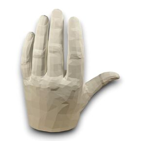 Planes of Human hand John Asaro Style, color white, 10" inches 25.4 cm, made 100% in the US and ships sameday, Learn the Planes of the Hand, Human hand for Medical and Artistic Drawing.
