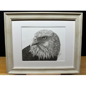American Bald Eagle Bird Wildlife Nature Graphite Pencil Art Sketch Drawing Print Picture Titled 'Patriot' by David Allen (11x14 Brown Frame & Print) in Saudi Arabia