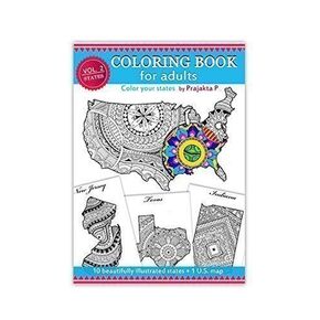 Volume 02 - USA state maps adult coloring book | Premium Coloring Book Thick Pages | Stress relieving patterns for all | Paint and Sip Party | DIY Kit | 10 State Maps and One USA map to Color