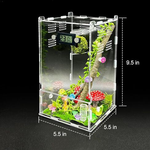 Jumping Spider Enclosure,DIY Insects Habitat,Small Reptile Terrarium Glass House Accessories Set,with Temperature and Humidity Detector Water Feeder Platform Hide,5.5“x5.5"x9.5“ (Forest) in Saudi Arabia
