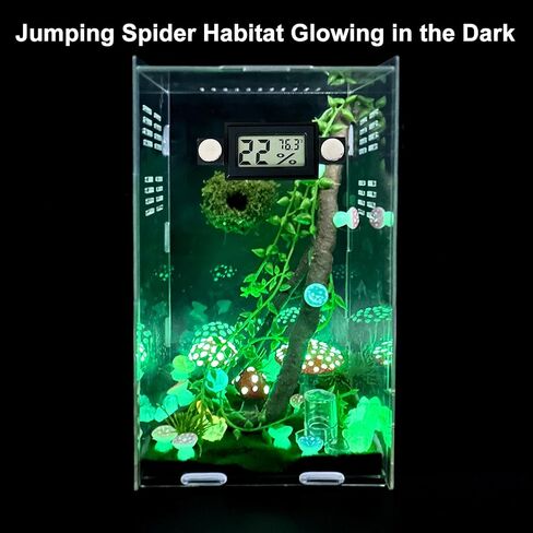 Jumping Spider Enclosure,DIY Insects Habitat,Small Reptile Terrarium Glass House Accessories Set,with Temperature and Humidity Detector Water Feeder Platform Hide,5.5“x5.5"x9.5“ (Forest) in Saudi Arabia