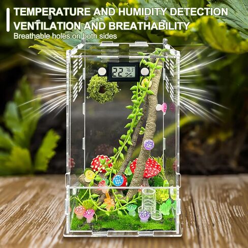 Jumping Spider Enclosure,DIY Insects Habitat,Small Reptile Terrarium Glass House Accessories Set,with Temperature and Humidity Detector Water Feeder Platform Hide,5.5“x5.5"x9.5“ (Forest) in Saudi Arabia
