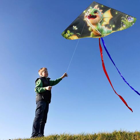 HENGDA KITE Painting Series Delta Kite,for Kids and Adults,Easy to Fly,Excellent Fabric and Structure Design,The Pictures are Beautiful in high Definition,Suitable for Beginners in Saudi Arabia