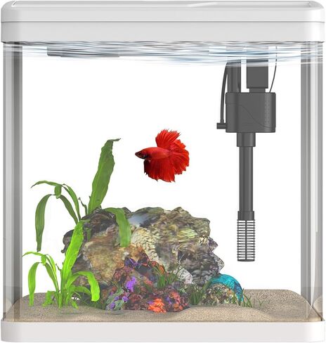 2 Gallon Glass Betta Fish Tank，Small Fish Tank with Filter and Light,Self-Cleaning Fish Tank. in Saudi Arabia