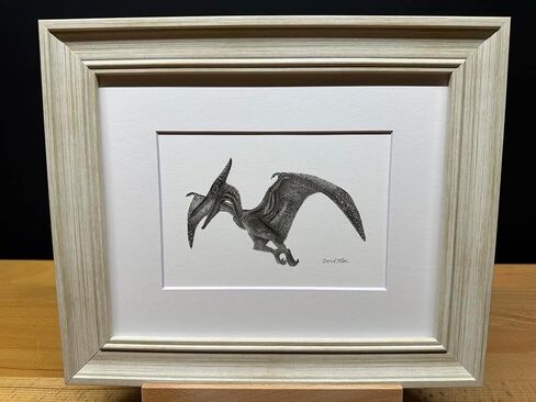 Hand Drawn Pterodactyl Dinosaur Bird Graphite Pencil Art Sketch Drawing Print Picture Limited Edition ~ Titled 'Winged Giant' by David Allen (8x10 White Frame & Print) in Saudi Arabia