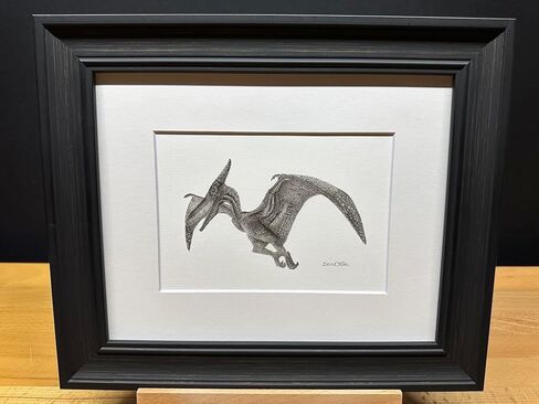 Hand Drawn Pterodactyl Dinosaur Bird Graphite Pencil Art Sketch Drawing Print Picture Limited Edition ~ Titled 'Winged Giant' by David Allen (8x10 White Frame & Print) in Saudi Arabia