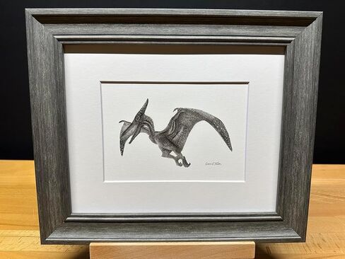 Hand Drawn Pterodactyl Dinosaur Bird Graphite Pencil Art Sketch Drawing Print Picture Limited Edition ~ Titled 'Winged Giant' by David Allen (8x10 White Frame & Print) in Saudi Arabia